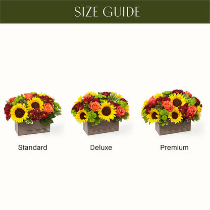 Happy Harvest Garden –  Fleuriste Lily-rose, Magog PQ