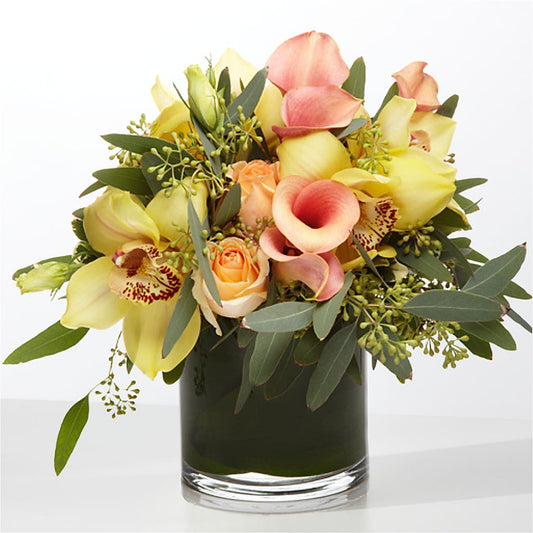 The Visionary –  Fleuriste Lily-rose, Magog PQ