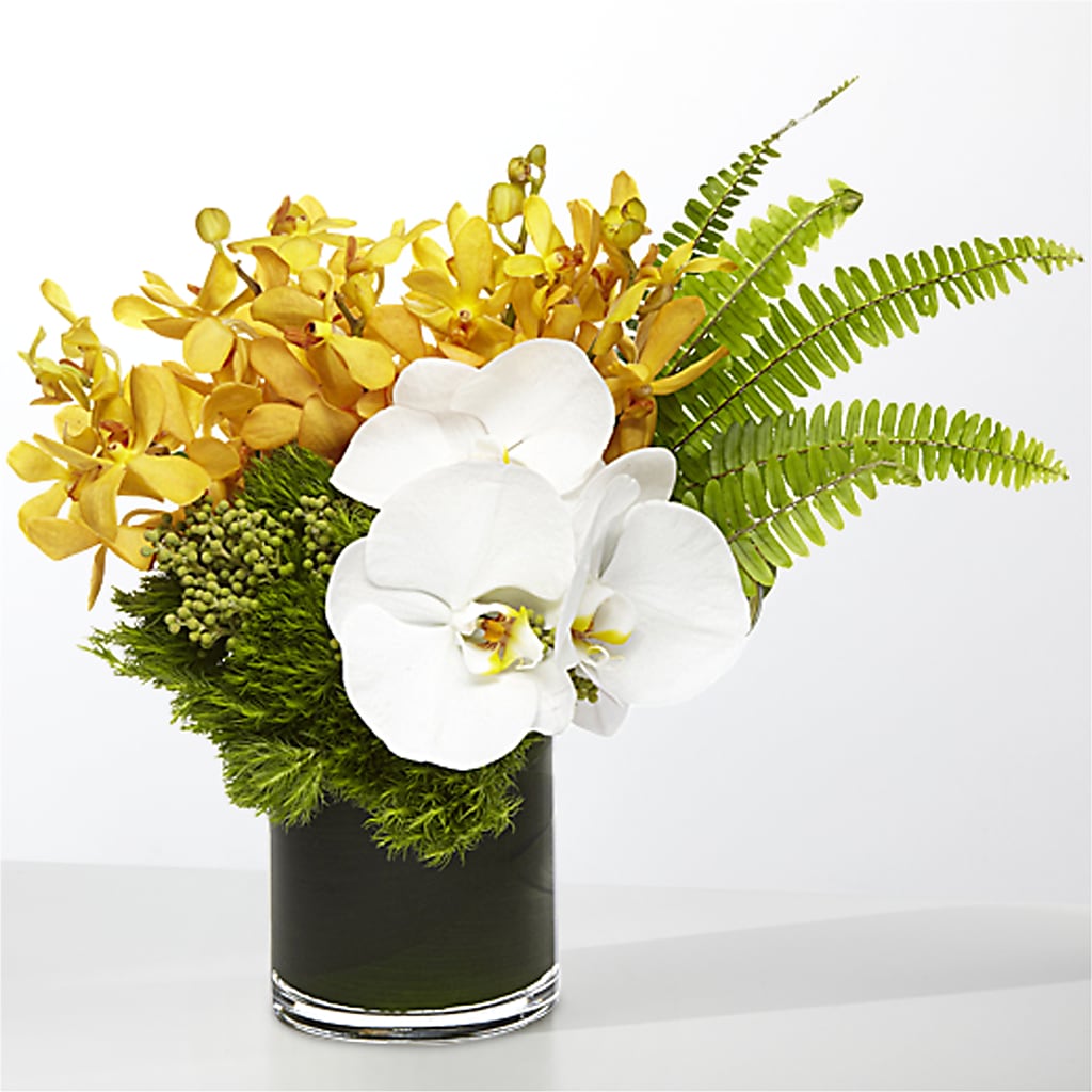 The Tropics –  Fleuriste Lily-rose, Magog PQ