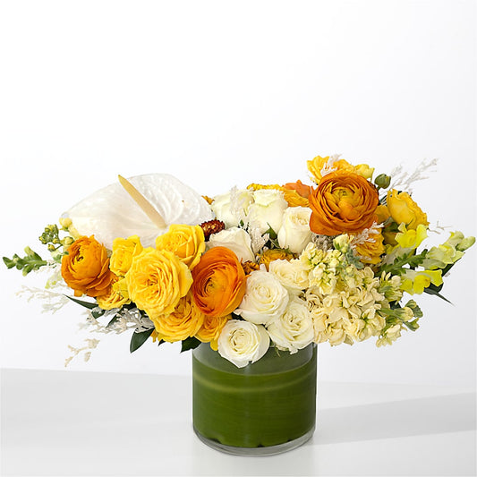 The Optimist –  Fleuriste Lily-rose, Magog PQ