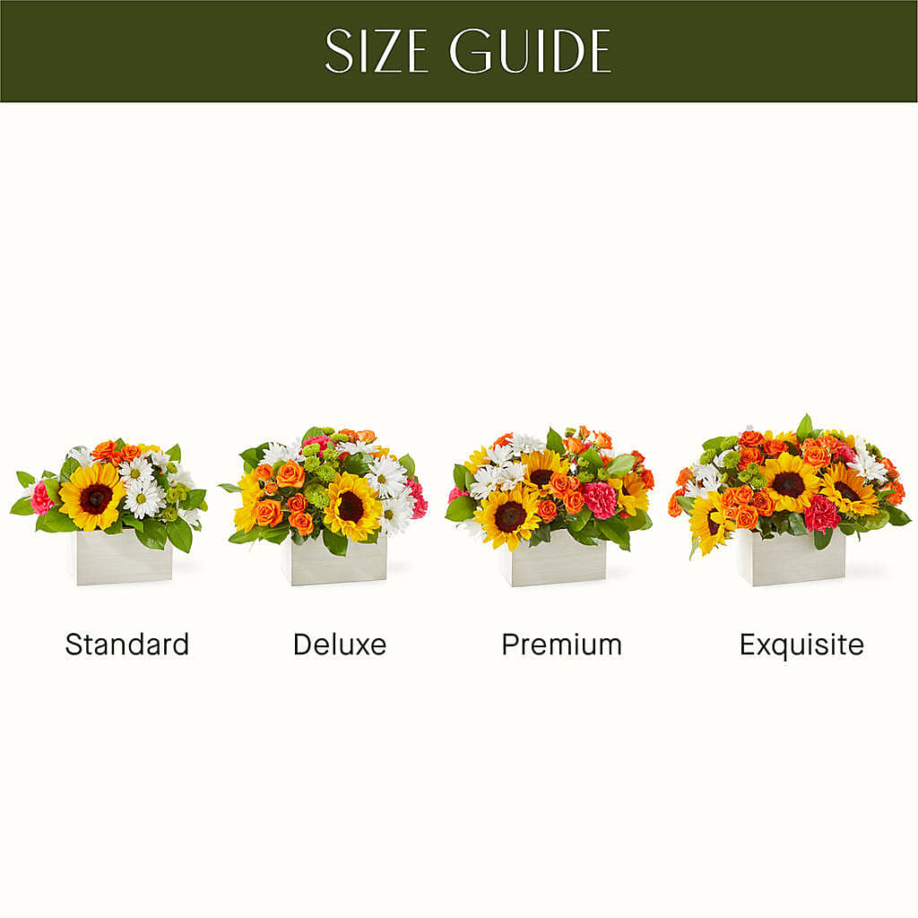 Sun-drenched Blooms Box Bouquet –  Fleuriste Lily-rose, Magog PQ