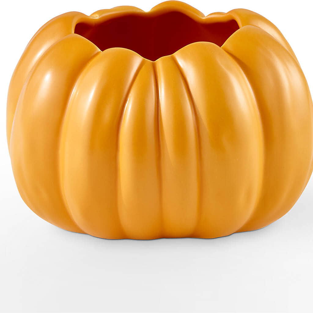 Golden Gourd Pumpkin Bouquet –  Fleuriste Lily-rose, Magog PQ