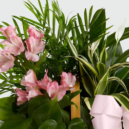 Living Spirit Dishgarden –  Fleuriste Lily-rose, Magog PQ