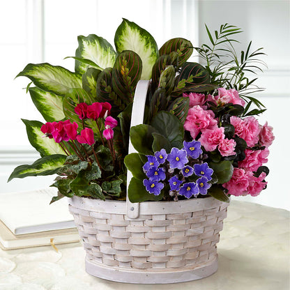 Peaceful Garden Planter –  Fleuriste Lily-rose, Magog PQ