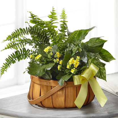 Always Dear Dishgarden –  Fleuriste Lily-rose, Magog PQ