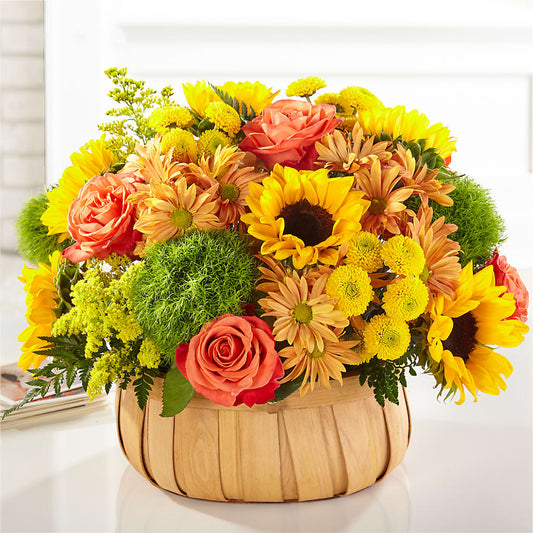 Harvest Sunflower Basket –  Fleuriste Lily-rose, Magog PQ