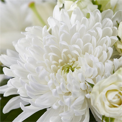 Classic Ivory – A Florist Original –  Fleuriste Lily-rose, Magog PQ