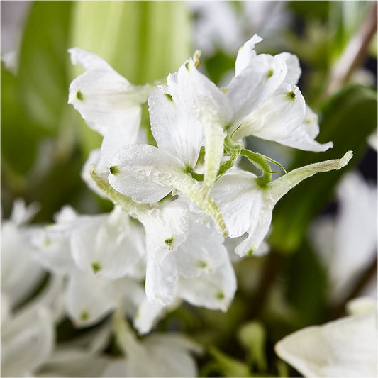 Classic Ivory – A Florist Original –  Fleuriste Lily-rose, Magog PQ