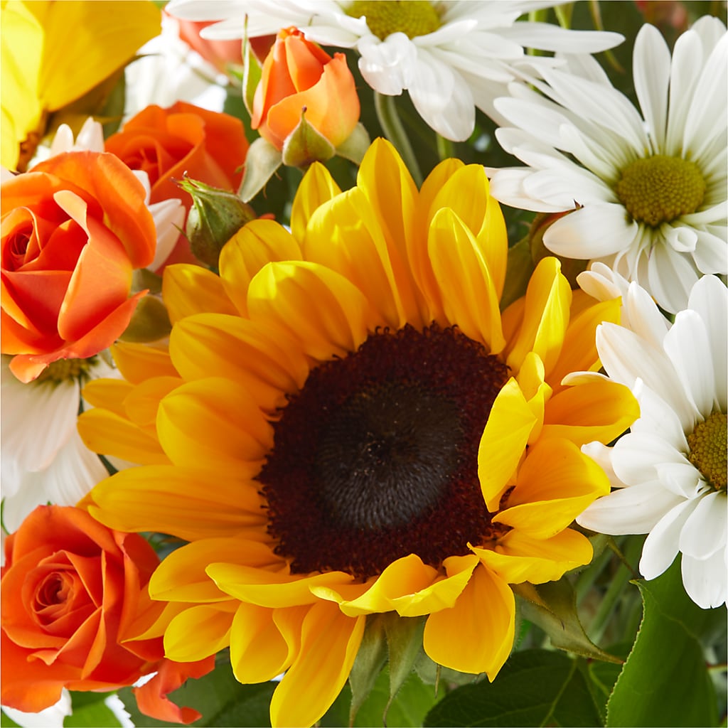 Sun-drenched Blooms Bouquet –  Fleuriste Lily-rose, Magog PQ