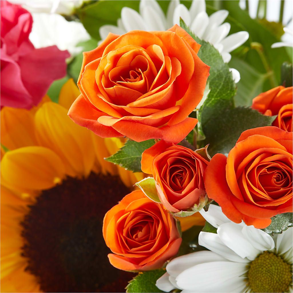 Sun-drenched Blooms Bouquet –  Fleuriste Lily-rose, Magog PQ
