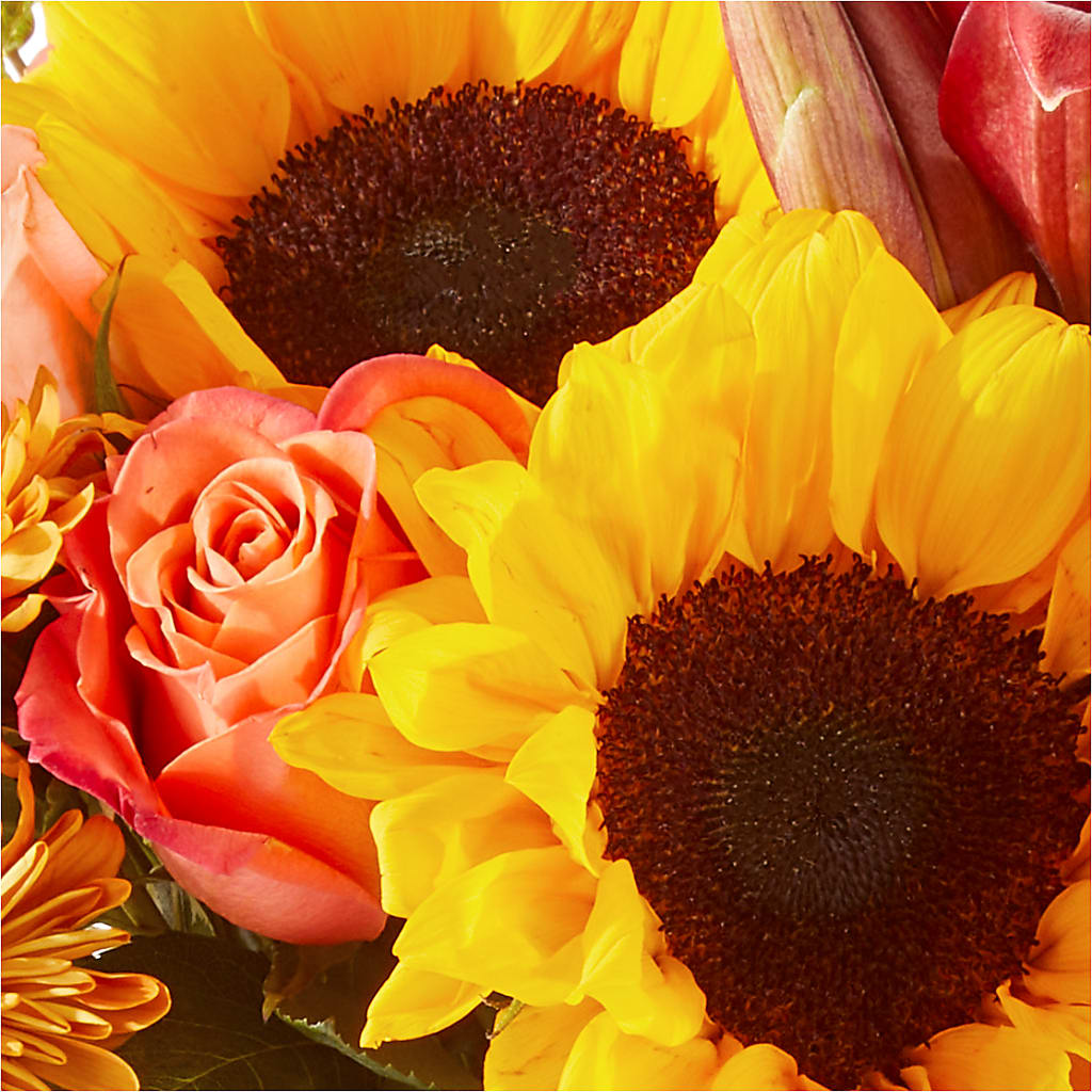 Acorn Lane Bouquet –  Fleuriste Lily-rose, Magog PQ