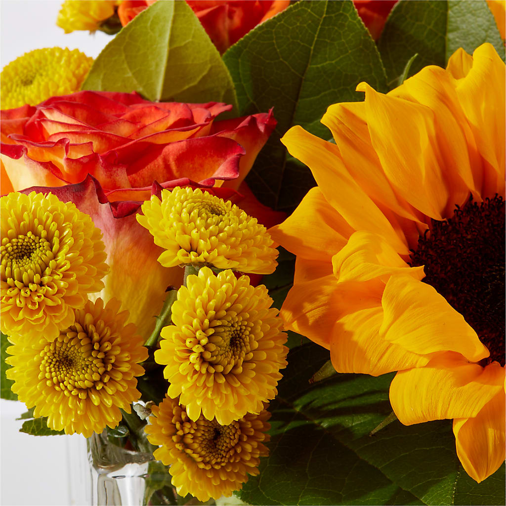 Picnic in the Park Bouquet –  Fleuriste Lily-rose, Magog PQ