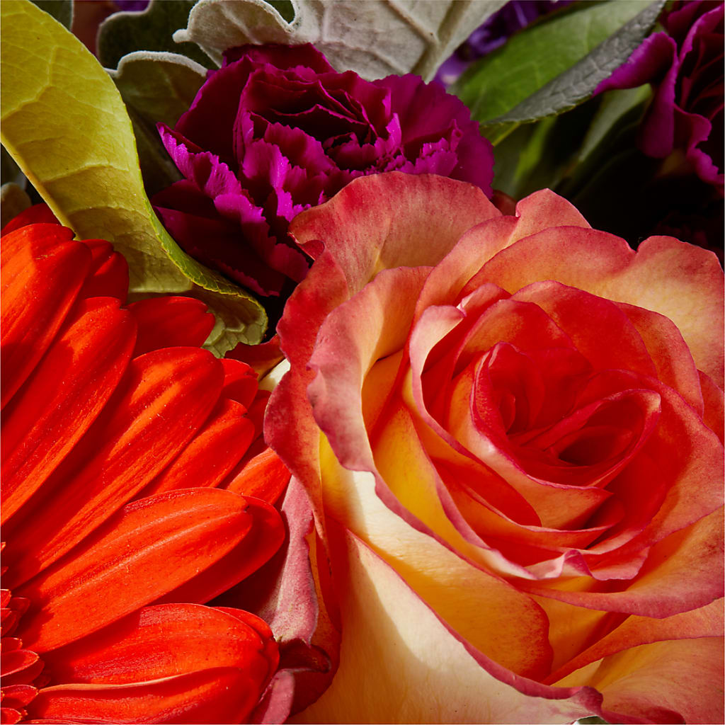 Sangria Bouquet –  Fleuriste Lily-rose, Magog PQ