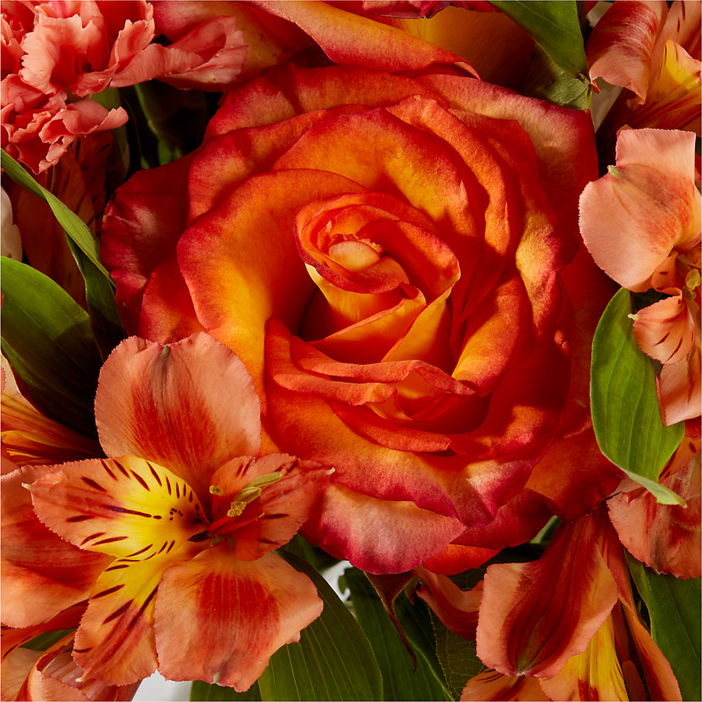 Apricot Glow Bouquet –  Fleuriste Lily-rose, Magog PQ