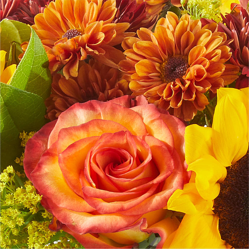 Flannel Scarf Bouquet –  Fleuriste Lily-rose, Magog PQ