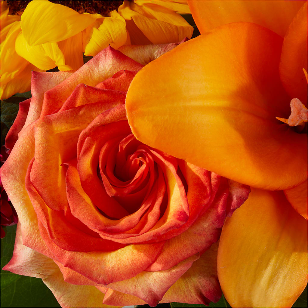 Grateful Centerpiece –  Fleuriste Lily-rose, Magog PQ