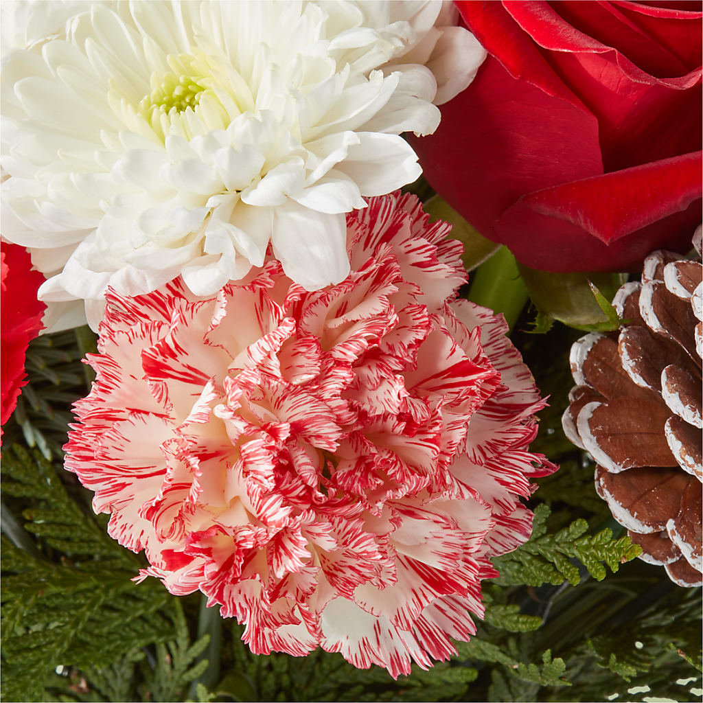 Candy Cane Lane Bouquet –  Fleuriste Lily-rose, Magog PQ