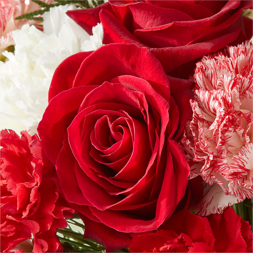 Candy Cane Lane Bouquet –  Fleuriste Lily-rose, Magog PQ