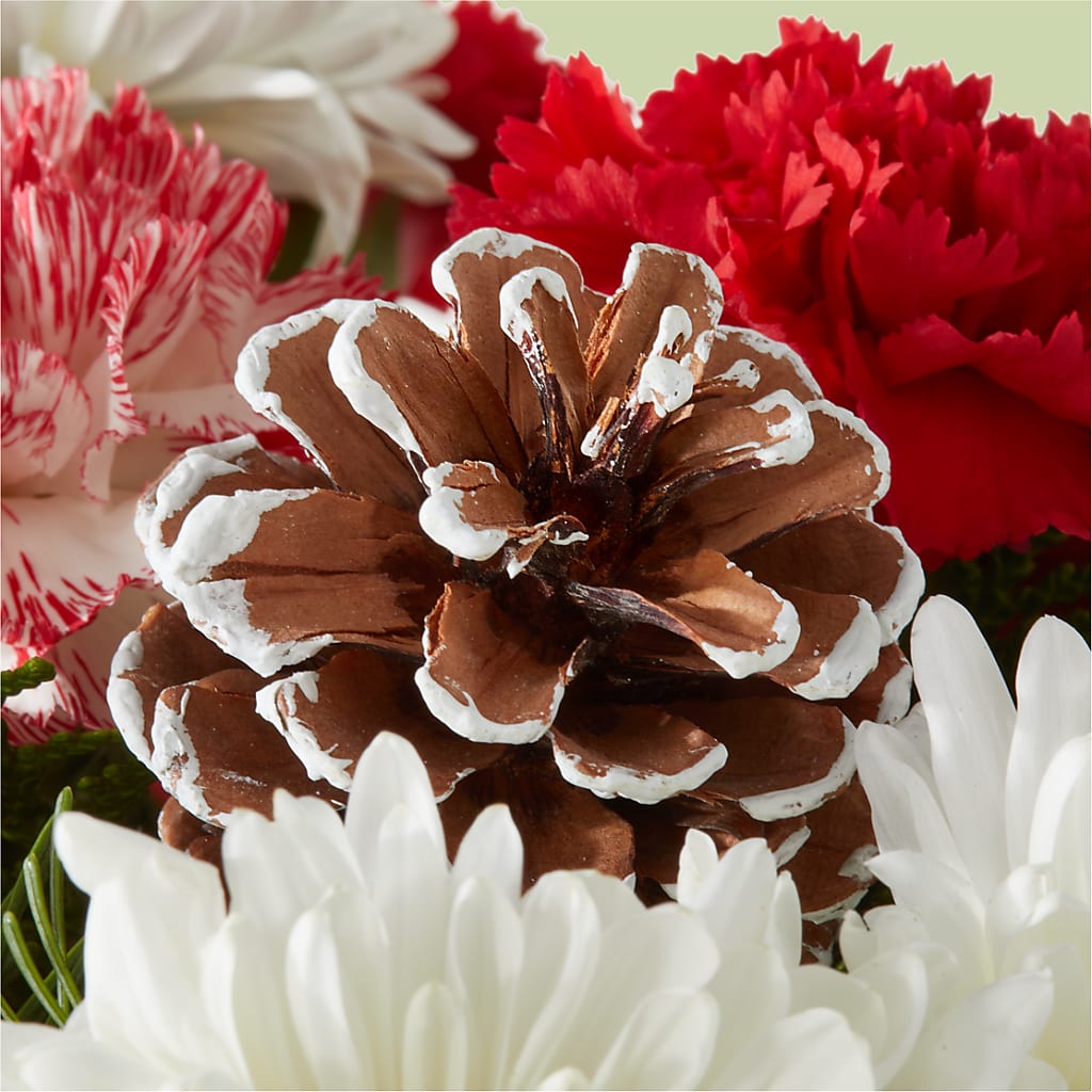 Candy Cane Lane Bouquet –  Fleuriste Lily-rose, Magog PQ