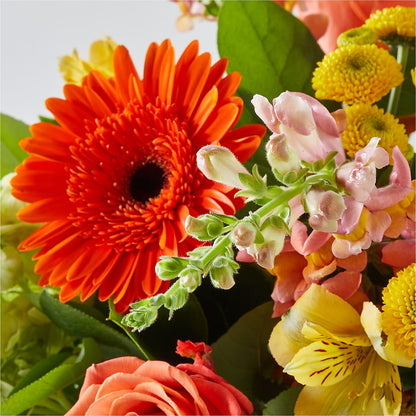 Autumn Sunshine Bouquet –  Fleuriste Lily-rose, Magog PQ