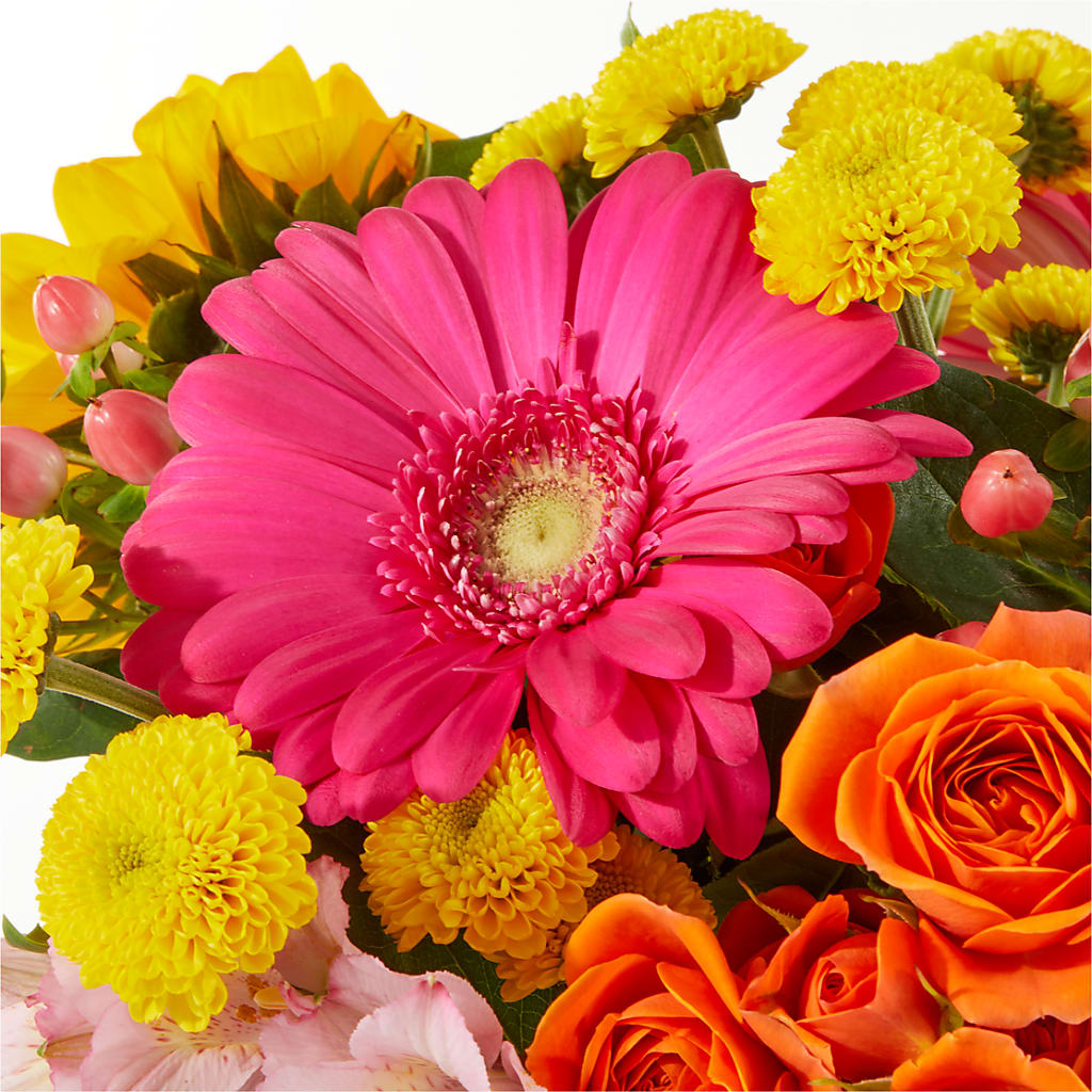 Beach Day Bouquet –  Fleuriste Lily-rose, Magog PQ