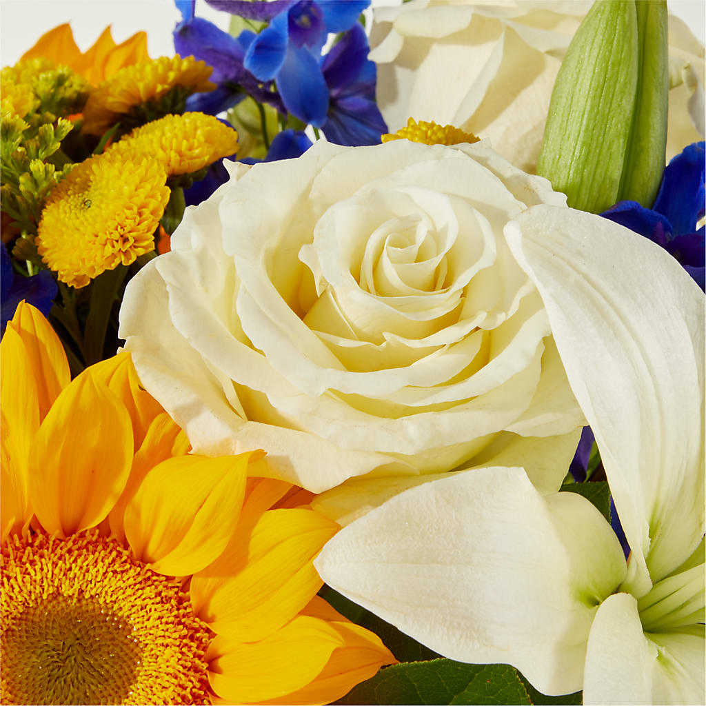 Stargazing Bouquet –  Fleuriste Lily-rose, Magog PQ