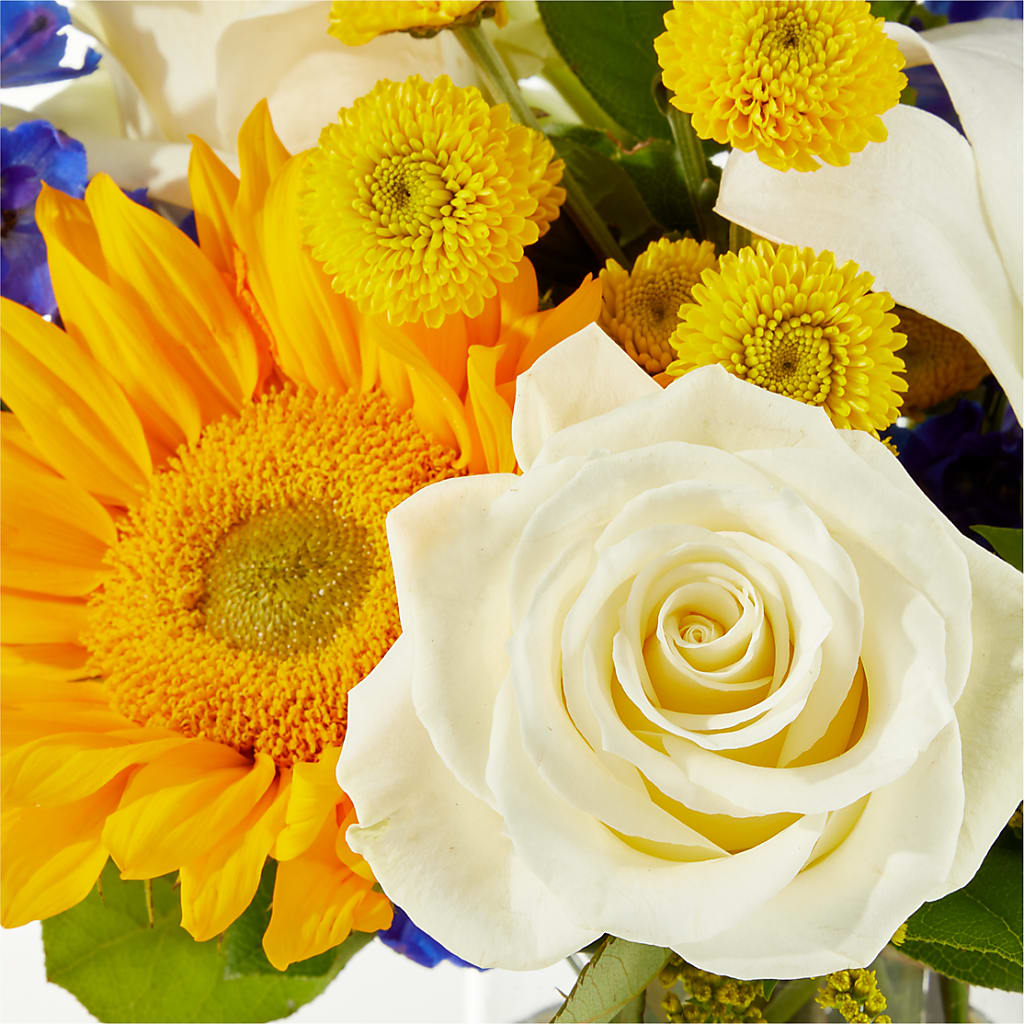 Stargazing Bouquet –  Fleuriste Lily-rose, Magog PQ