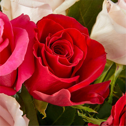Charming Rose Bouquet –  Fleuriste Lily-rose, Magog PQ
