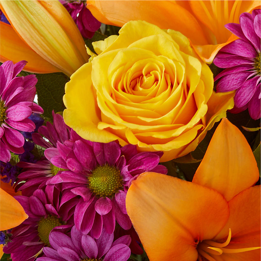 Colorful Visions Bouquet –  Fleuriste Lily-rose, Magog PQ