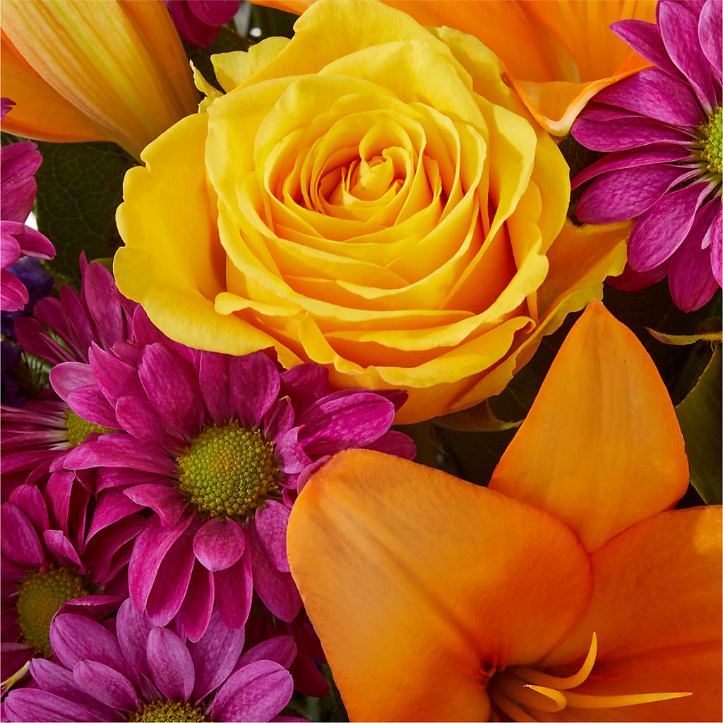 Colorful Visions Bouquet –  Fleuriste Lily-rose, Magog PQ