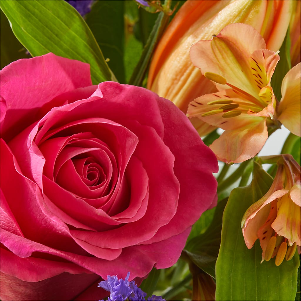 Joyful Bouquet –  Fleuriste Lily-rose, Magog PQ