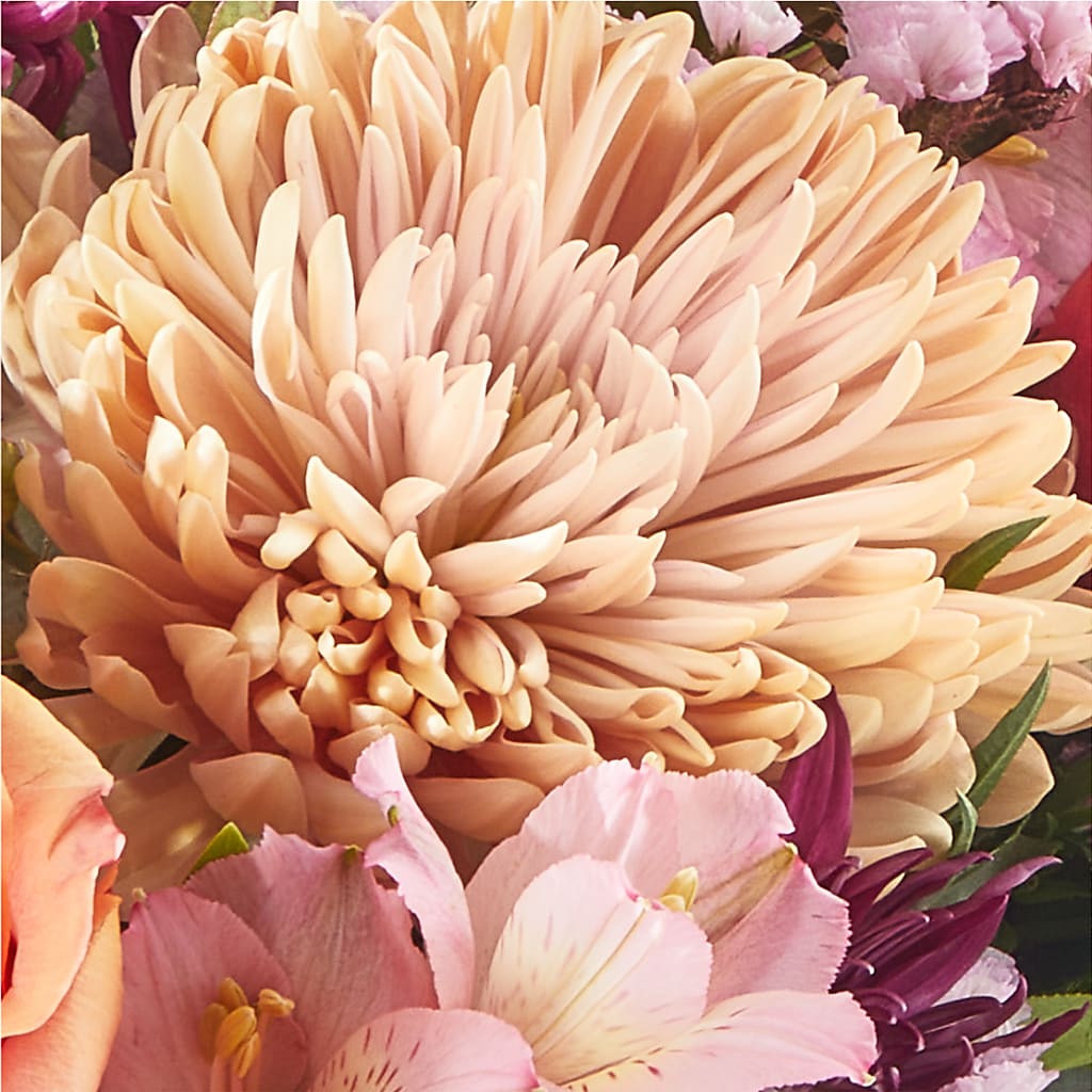 Berry Cobbler Bouquet –  Fleuriste Lily-rose, Magog PQ