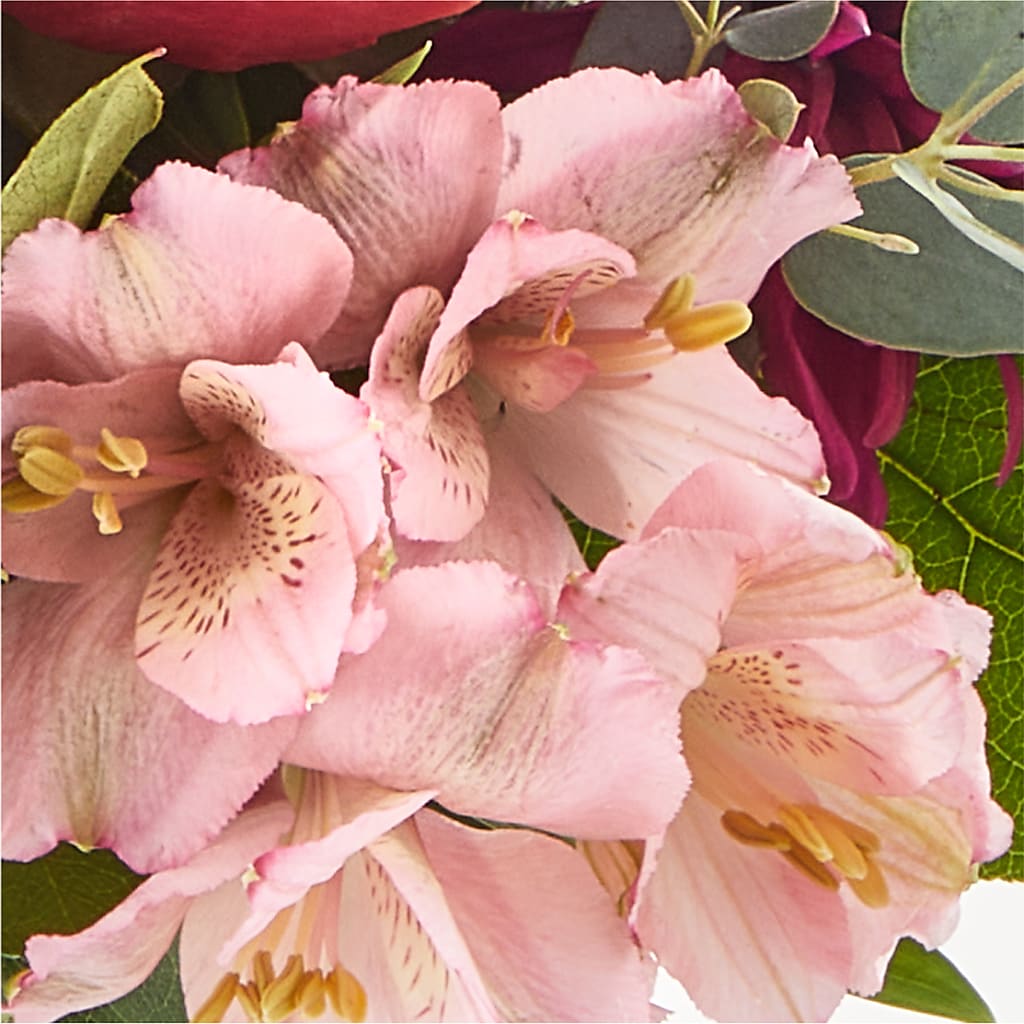 Berry Cobbler Bouquet –  Fleuriste Lily-rose, Magog PQ