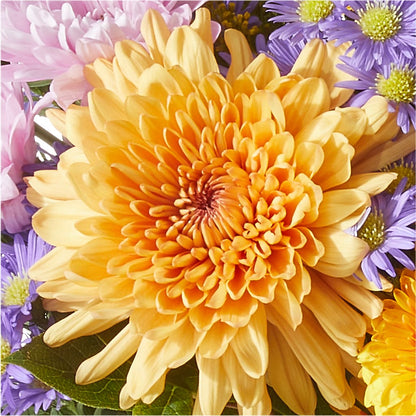 Countryside Bouquet –  Fleuriste Lily-rose, Magog PQ