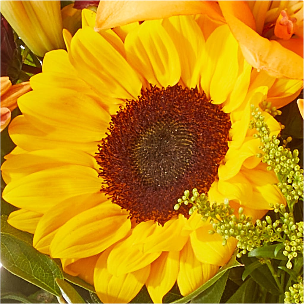 Seasons Change Bouquet –  Fleuriste Lily-rose, Magog PQ