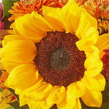 Sunny Side Bouquet –  Fleuriste Lily-rose, Magog PQ