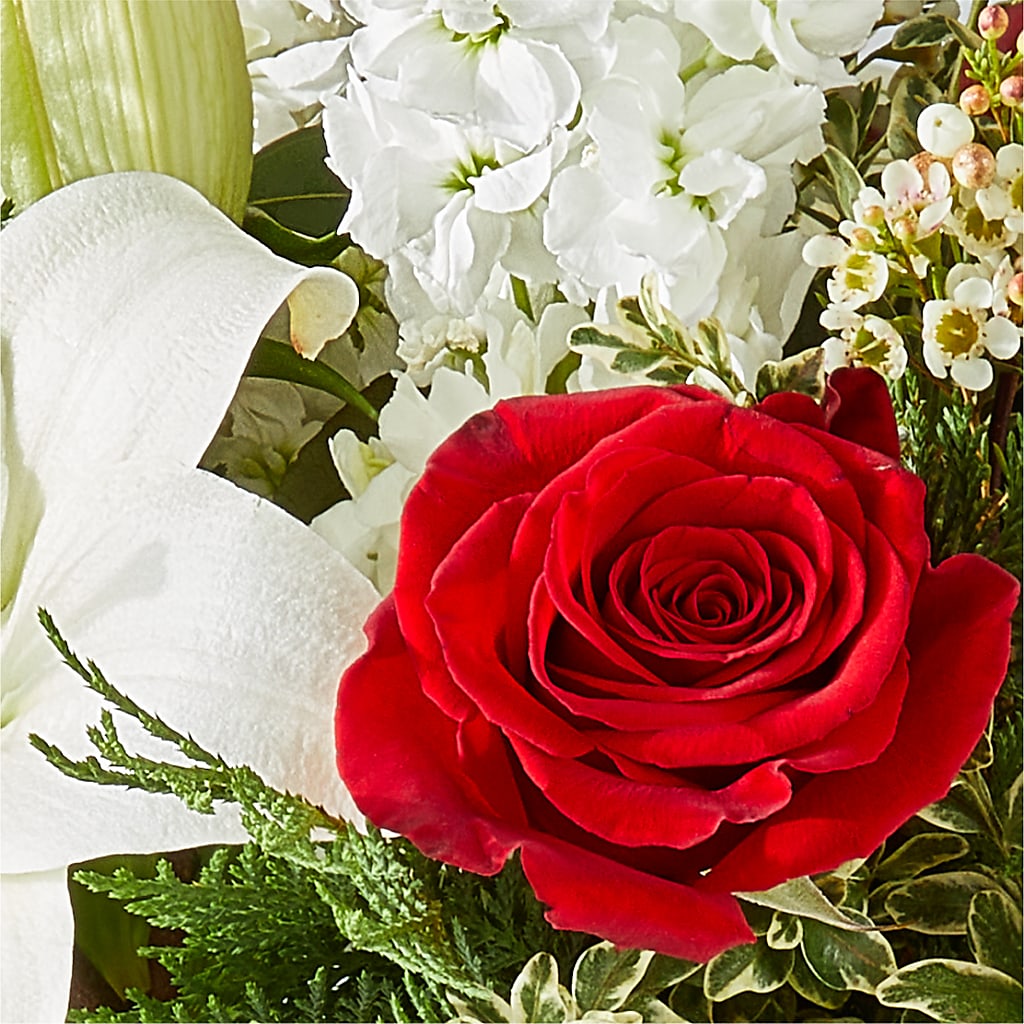 Twinkle Lights Bouquet –  Fleuriste Lily-rose, Magog PQ