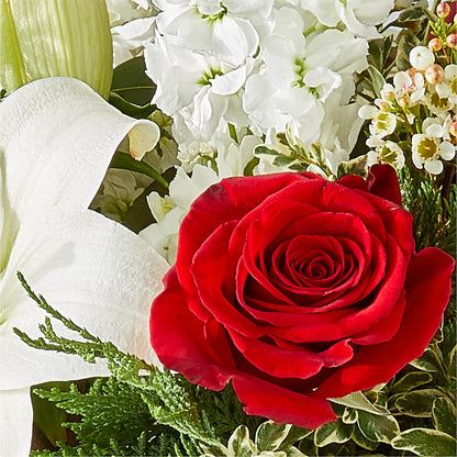 Twinkle Lights Bouquet –  Fleuriste Lily-rose, Magog PQ