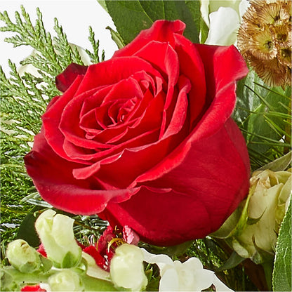 Deck the Halls Bouquet –  Fleuriste Lily-rose, Magog PQ