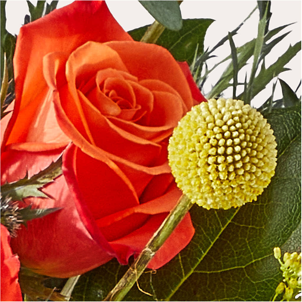 Disco Bouquet –  Fleuriste Lily-rose, Magog PQ
