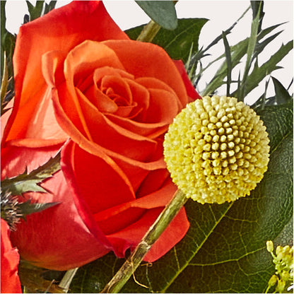 Disco Bouquet –  Fleuriste Lily-rose, Magog PQ