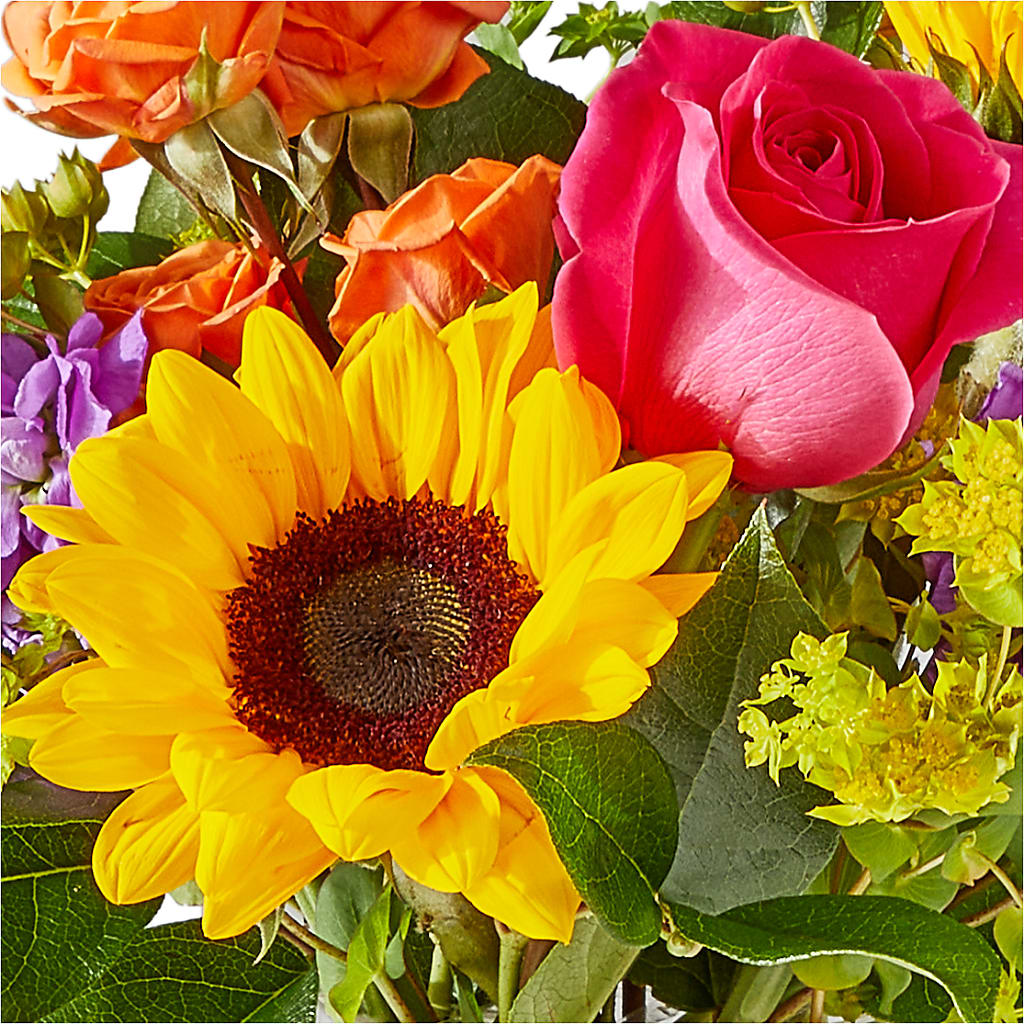 Vibrant Greetings Bouquet –  Fleuriste Lily-rose, Magog PQ