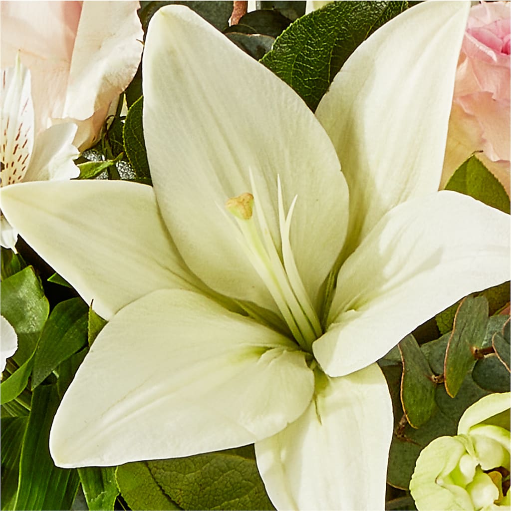 Ballet Slippers Bouquet –  Fleuriste Lily-rose, Magog PQ