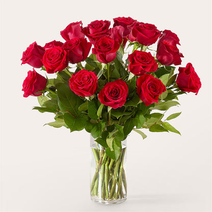 The One Red Rose Bouquet –  Fleuriste Lily-rose, Magog PQ