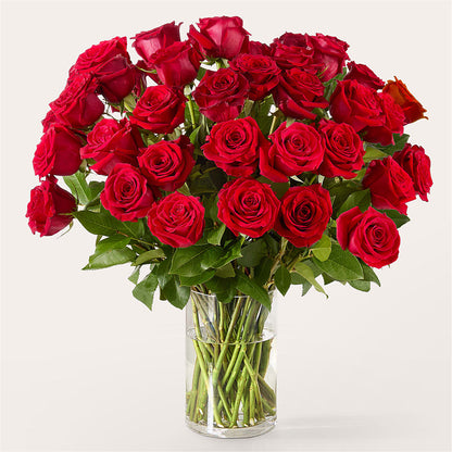 The One Red Rose Bouquet –  Fleuriste Lily-rose, Magog PQ