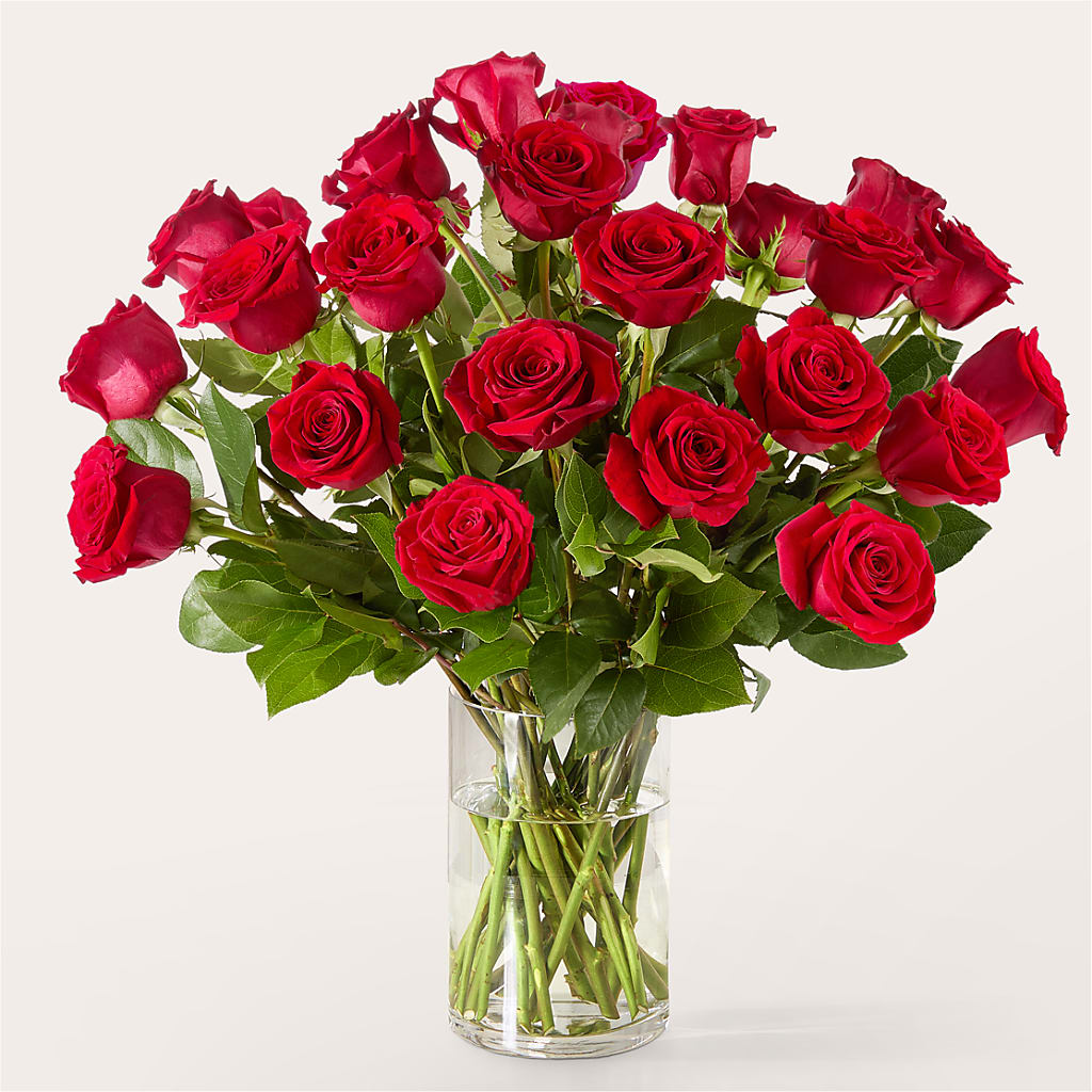 The One Red Rose Bouquet –  Fleuriste Lily-rose, Magog PQ