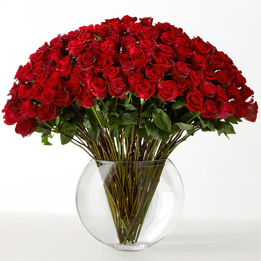 The Idealist –  Fleuriste Lily-rose, Magog PQ
