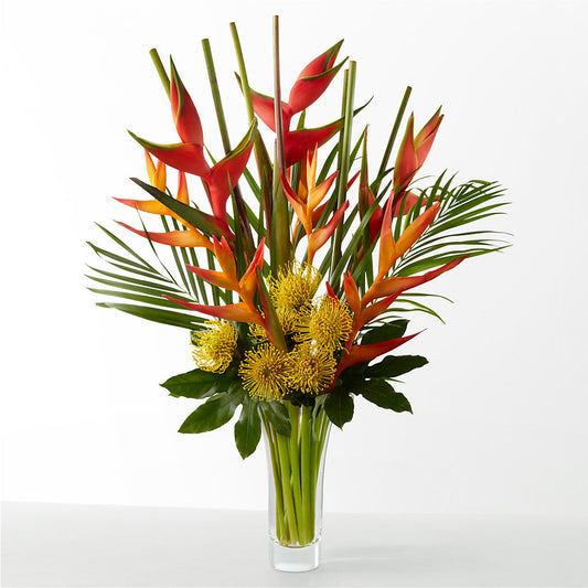 The Drama –  Fleuriste Lily-rose, Magog PQ
