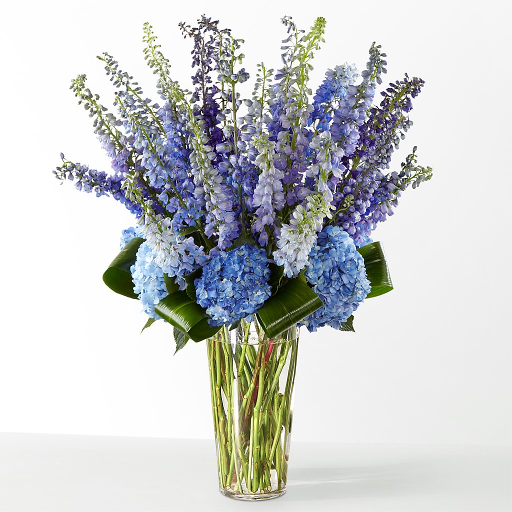 The Editorial –  Fleuriste Lily-rose, Magog PQ