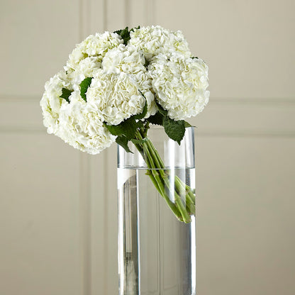White Hydrangea Hand-Tied Bouquet –  Fleuriste Lily-rose, Magog PQ